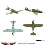 Italian Ace Pilot Furio Niclot Doglio